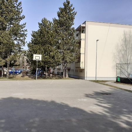 Apartman Love Бойнице Экстерьер фото